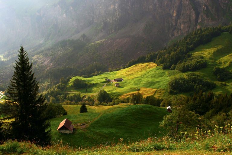 кантон Швиц